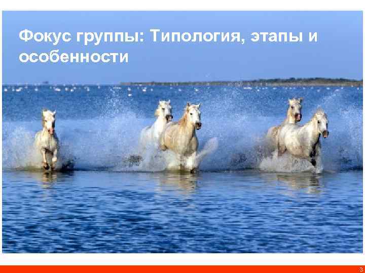 Фокус группы: Типология, этапы и особенности 3 