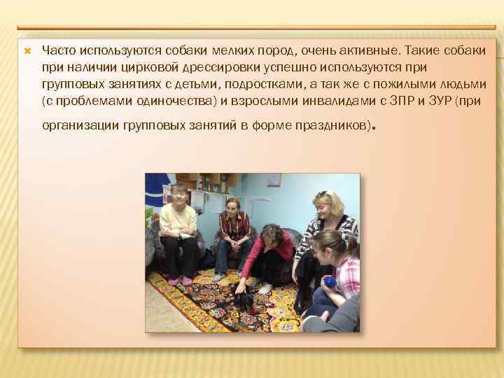  Часто используются собаки мелких пород, очень активные. Такие собаки при наличии цирковой дрессировки