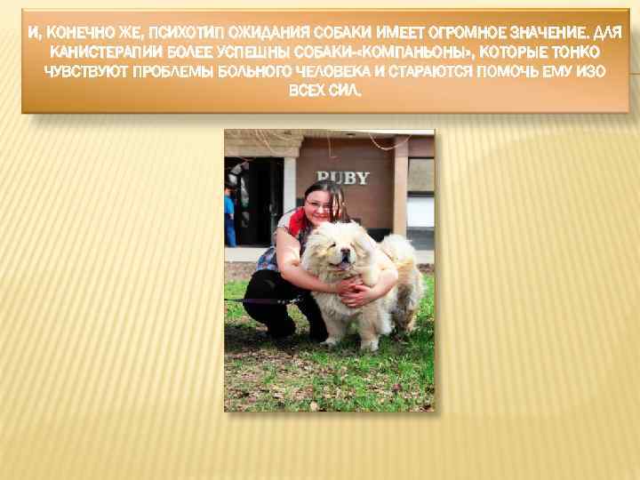 И, КОНЕЧНО ЖЕ, ПСИХОТИП ОЖИДАНИЯ СОБАКИ ИМЕЕТ ОГРОМНОЕ ЗНАЧЕНИЕ. ДЛЯ КАНИСТЕРАПИИ БОЛЕЕ УСПЕШНЫ СОБАКИ-