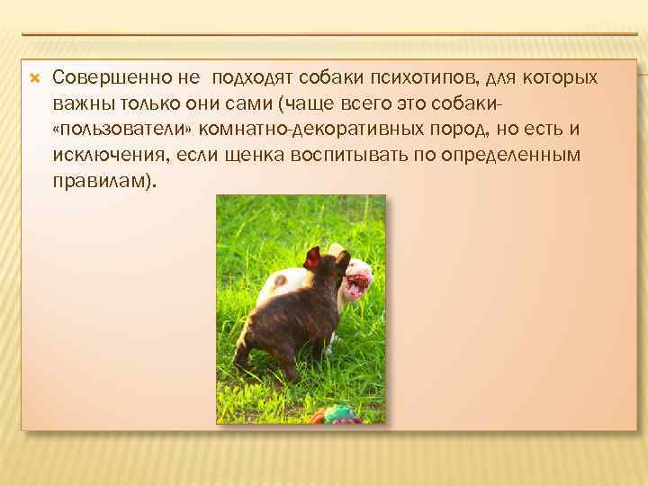  Совершенно не подходят собаки психотипов, для которых важны только они сами (чаще всего