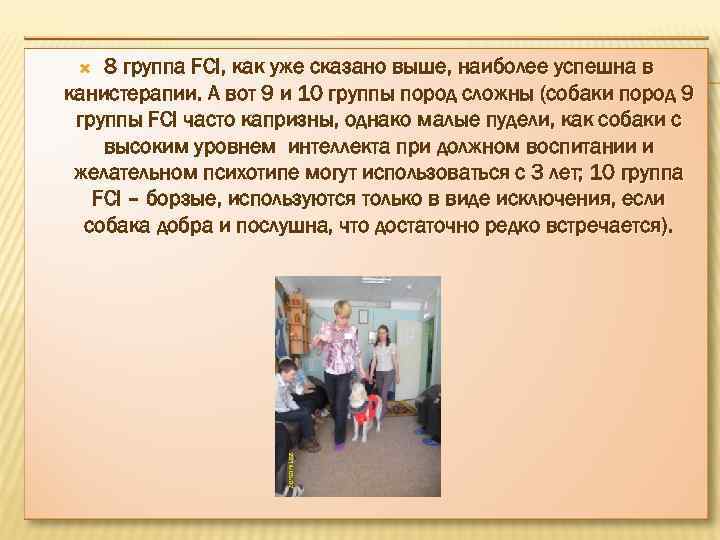8 группа FCI, как уже сказано выше, наиболее успешна в канистерапии. А вот 9