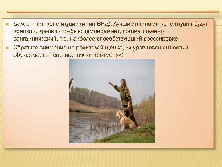  Далее – тип конституции (и тип ВНД). Лучшими типами конституции будут крепкий, крепкий-грубый;