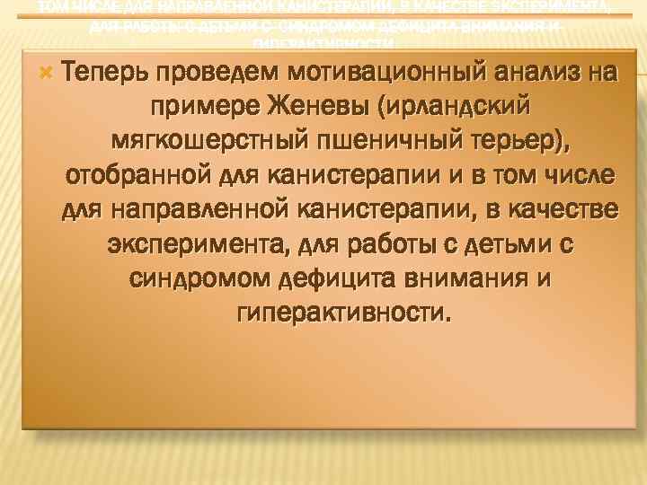 ТОМ ЧИСЛЕ ДЛЯ НАПРАВЛЕННОЙ КАНИСТЕРАПИИ, В КАЧЕСТВЕ ЭКСПЕРИМЕНТА, ДЛЯ РАБОТЫ С ДЕТЬМИ С СИНДРОМОМ