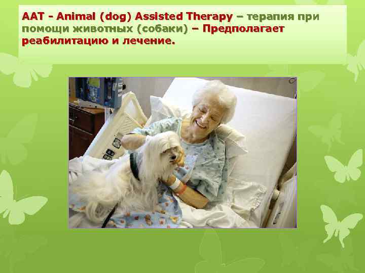 ААТ - Animal (dog) Assisted Therapy – терапия при помощи животных (собаки) – Предполагает
