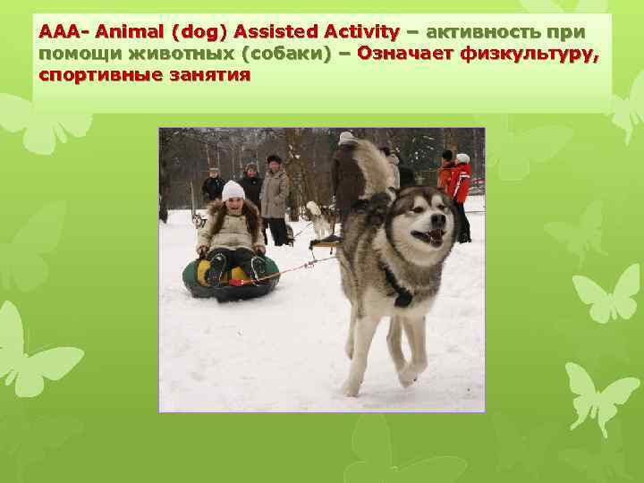 ААА- Animal (dog) Assisted Activity – активность при помощи животных (собаки) – Означает физкультуру,