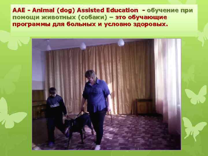 ААЕ - Animal (dog) Assisted Education - обучение при помощи животных (собаки) – это