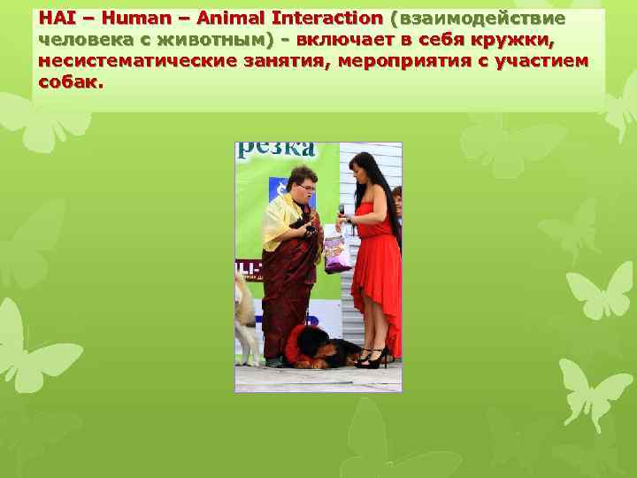 HAI – Human – Animal Interaction (взаимодействие человека с животным) - включает в себя