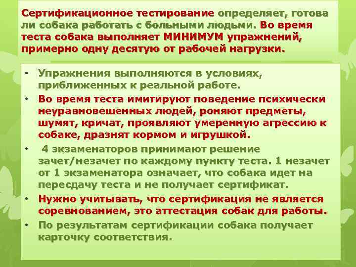 Сертификационное тестирование определяет, готова ли собака работать с больными людьми. Во время теста собака