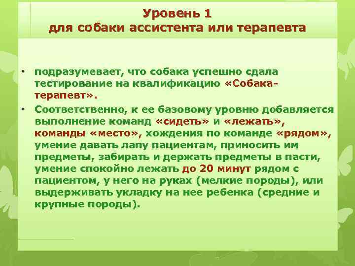 Уровень 1 для собаки ассистента или терапевта • подразумевает, что собака успешно сдала тестирование