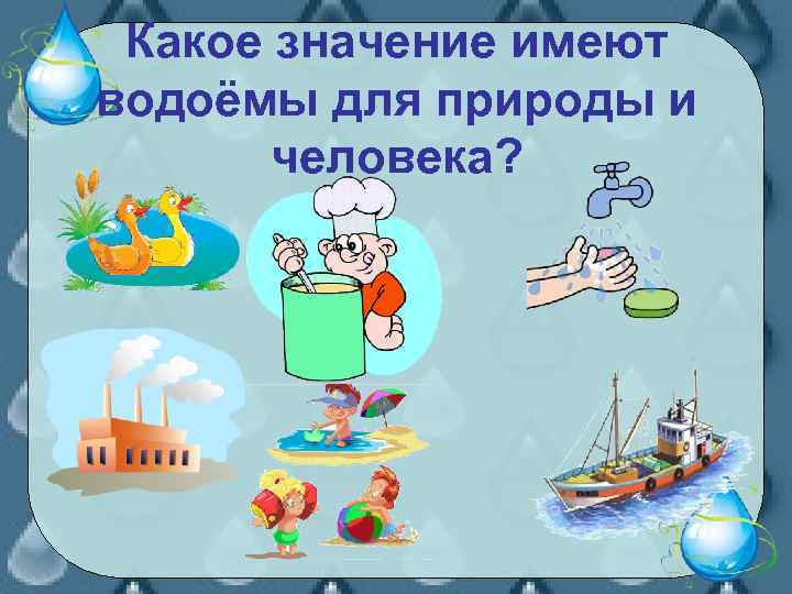 Какое значение имеют водоёмы для природы и человека? 