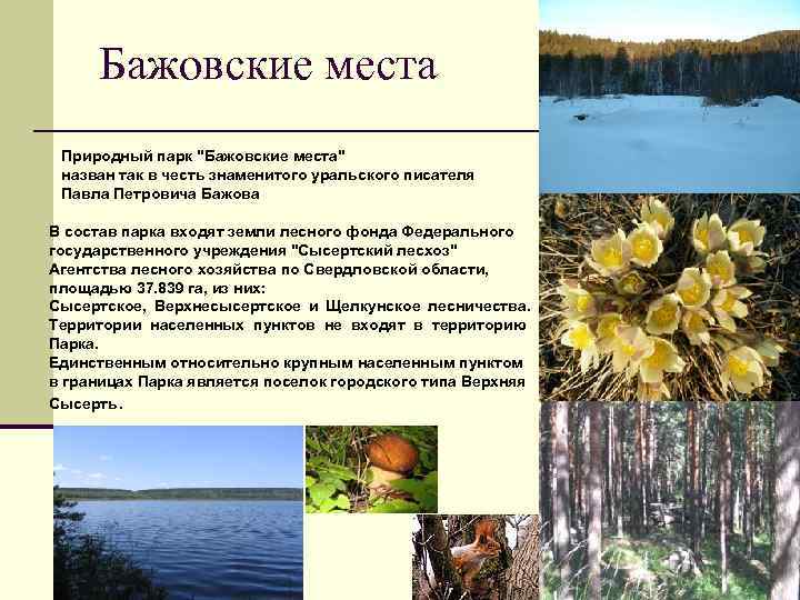 Бажовские места Природный парк "Бажовские места" назван так в честь знаменитого уральского писателя Павла