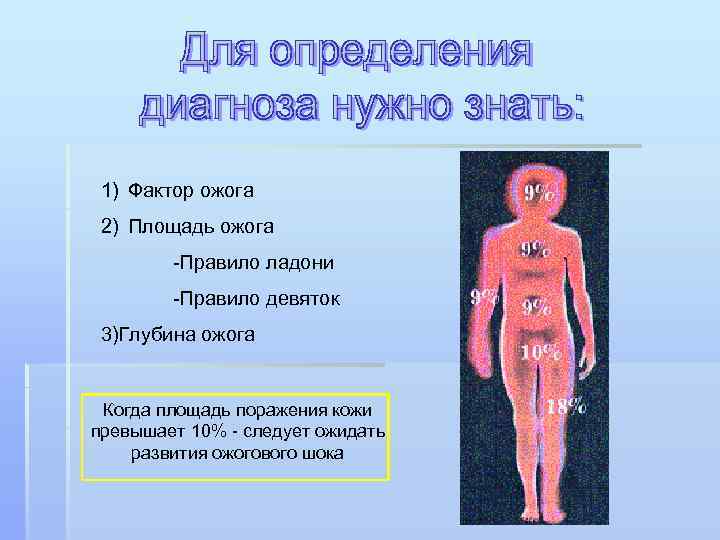 1) Фактор ожога 2) Площадь ожога -Правило ладони -Правило девяток 3)Глубина ожога Когда площадь