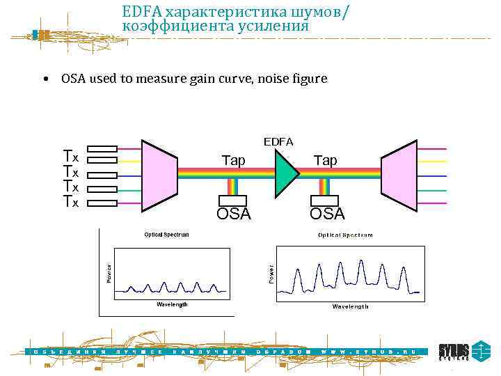 EDFA характеристика шумов/ коэффициента усиления • OSA used to measure gain curve, noise figure