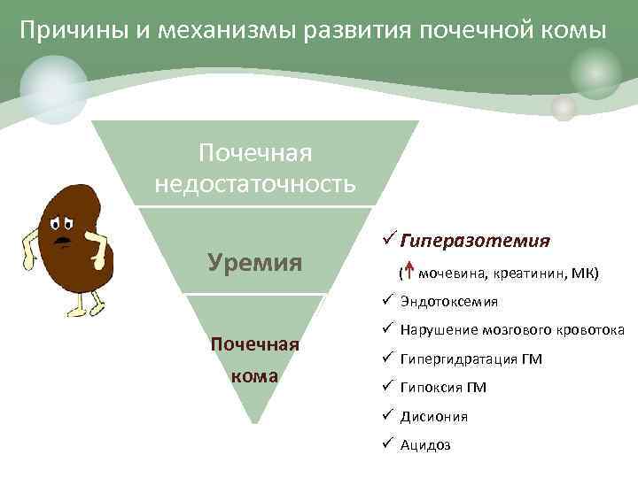 Причины и механизмы развития почечной комы Почечная недостаточность Уремия ü Гиперазотемия ( мочевина, креатинин,