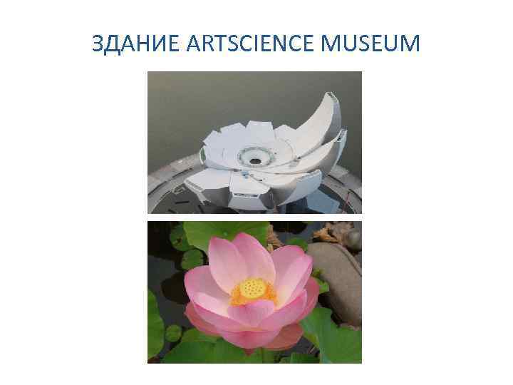 ЗДАНИЕ ARTSCIENCE MUSEUM 