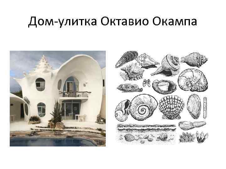 Дом-улитка Октавио Окампа 