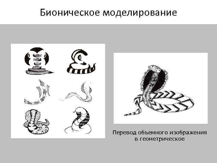 Бионическое моделирование Перевод объемного изображения в геометрическое 