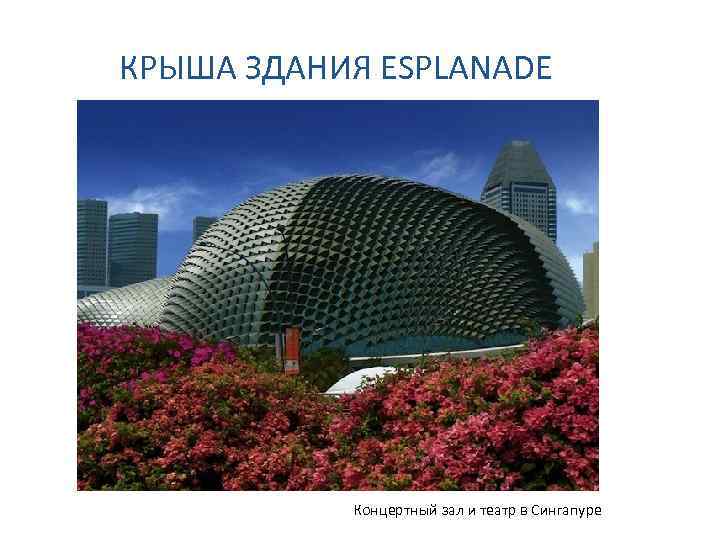 КРЫША ЗДАНИЯ ESPLANADE Концертный зал и театр в Сингапуре 