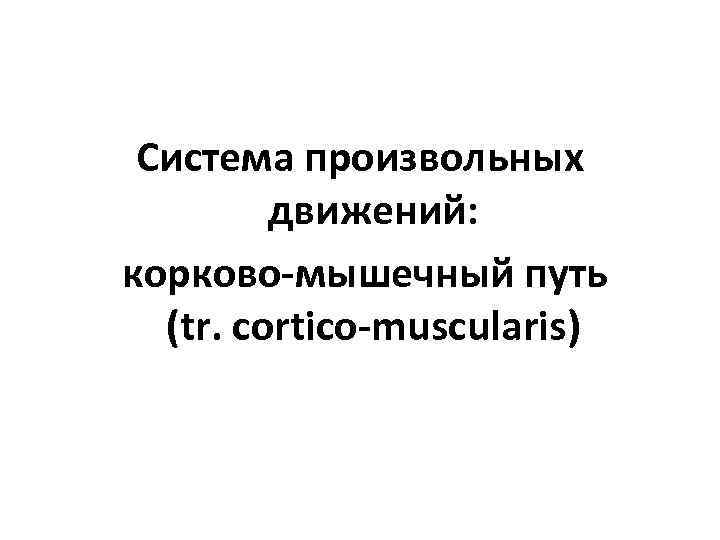 Система произвольных движений: корково-мышечный путь (tr. cortico-muscularis) 
