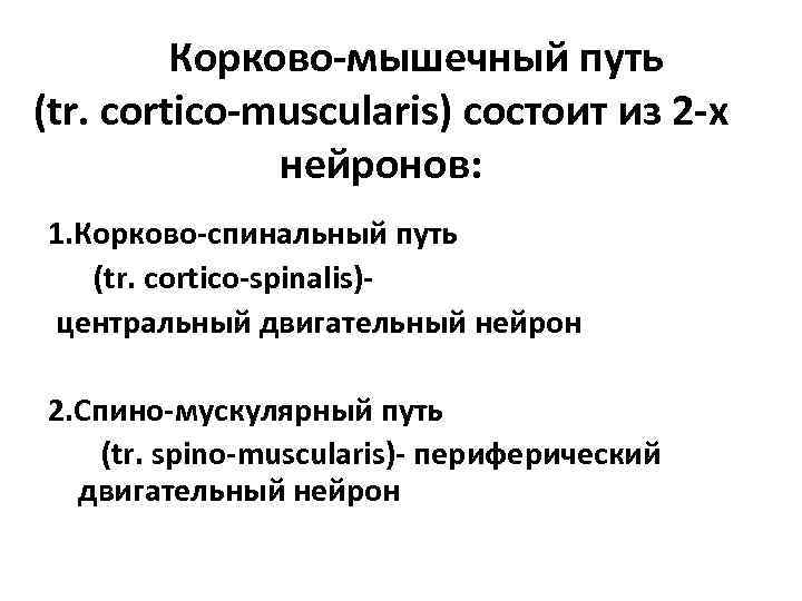 Корково-мышечный путь (tr. cortico-muscularis) состоит из 2 -х нейронов: 1. Корково-спинальный путь (tr.
