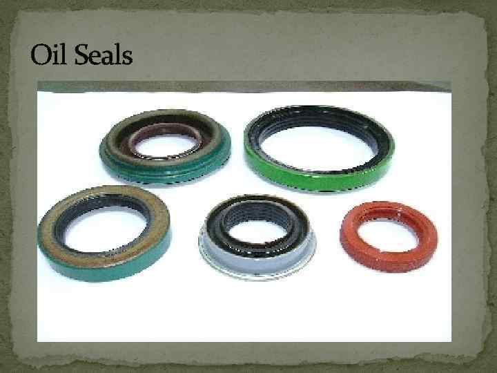 Oil Seals 