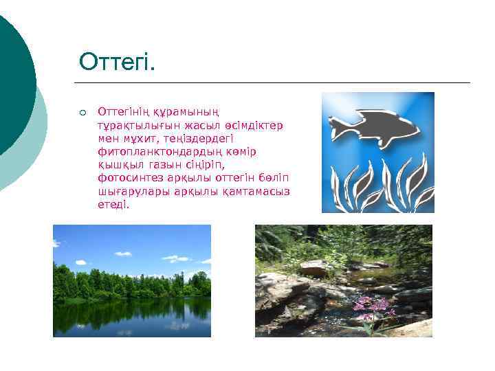 Тірі ағзалардың қоршаған орта жағдайларына бейімделуі презентация