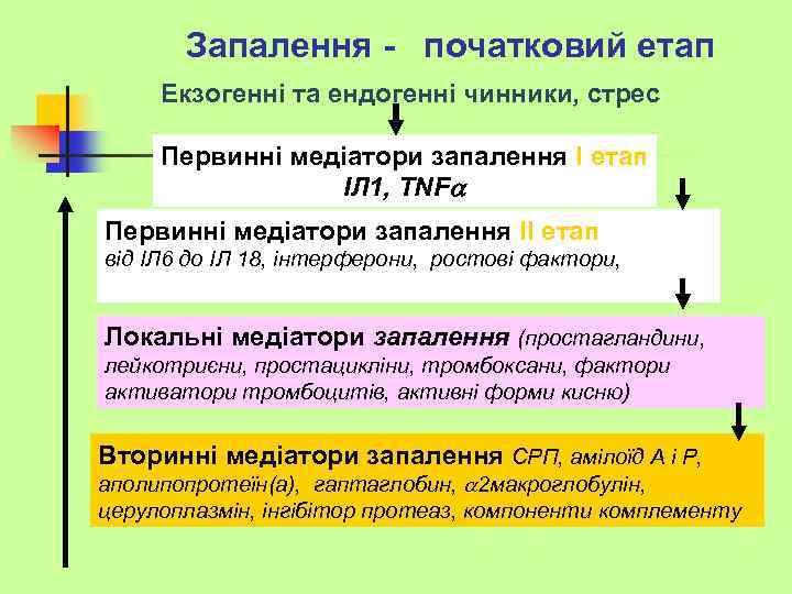 Запалення - початковий етап Екзогенні та ендогенні чинники, стрес Первинні медіатори запалення І етап