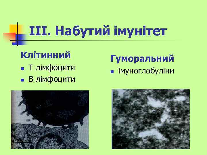 ІІІ. Набутий імунітет Клітинний n n Т лімфоцити В лімфоцити Гуморальний n імуноглобуліни 
