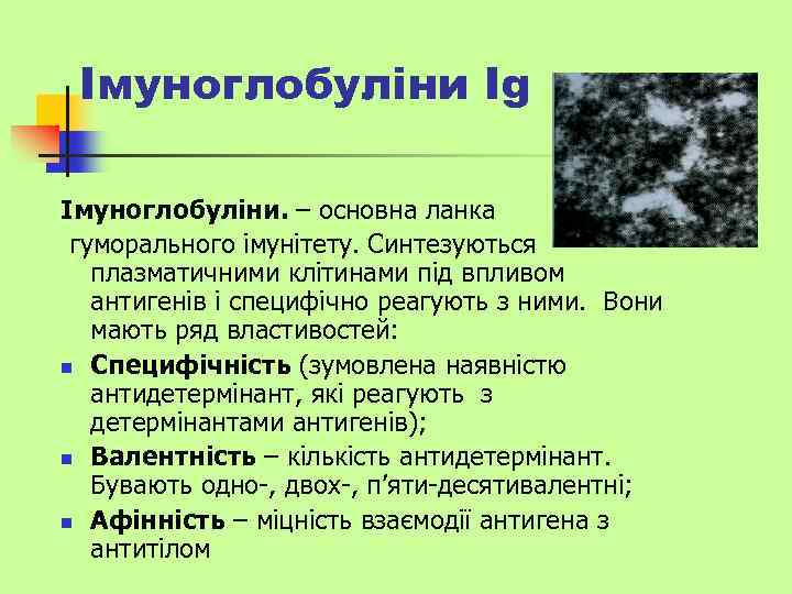 Iмуноглобуліни Ig Імуноглобуліни. – основна ланка гуморального імунітету. Синтезуються плазматичними клітинами під впливом антигенів