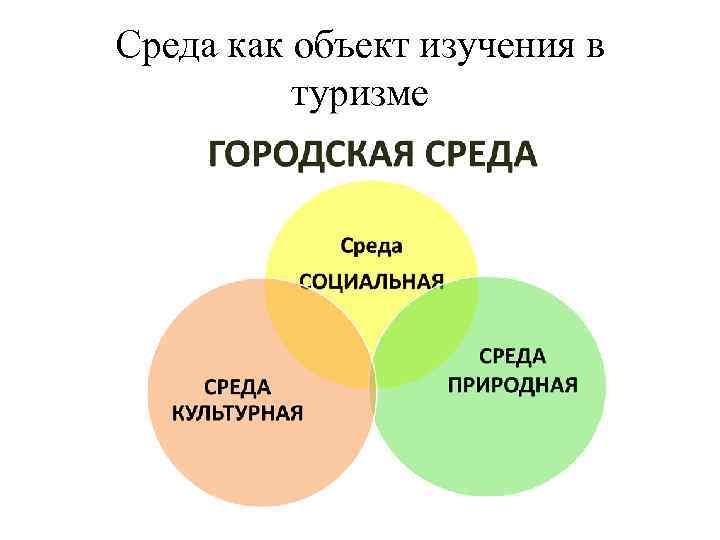 Среда как объект изучения в туризме 