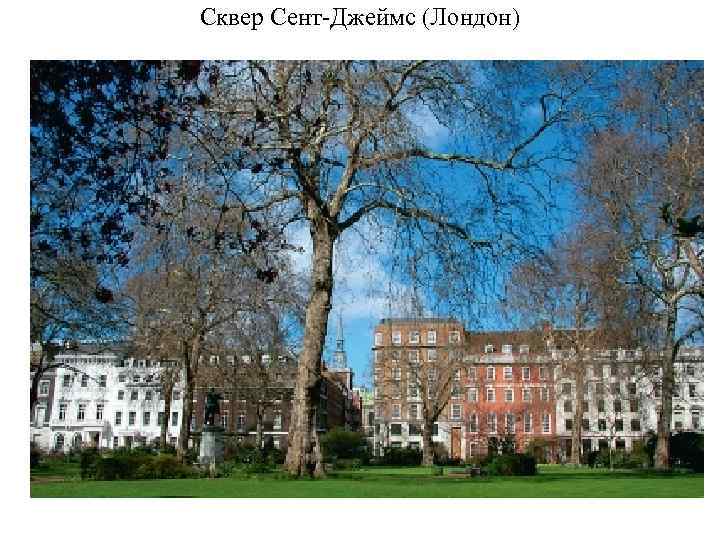 Сквер Сент Джеймс (Лондон) 