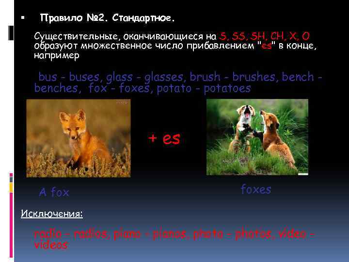  Правило № 2. Стандартное. Существительные, оканчивающиеся на S, SH, CH, X, O образуют