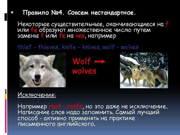 Wolf множественное число. Множественное число существительных Wolf. Woolf множественное число. Wolt множественное число.