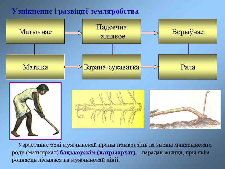 Узнікненне і развіццё земляробства Матычнае Падсечна -агнявое Ворыўнае Матыка Барана-сукаватка Рала Узрастанне ролі мужчынскай