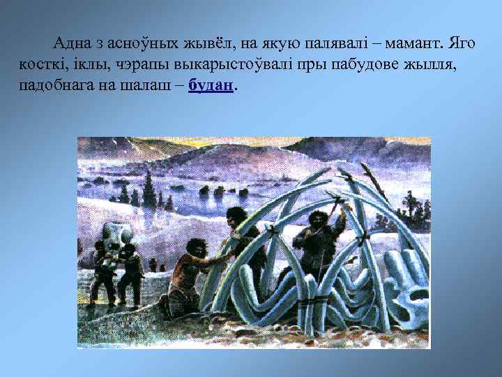 Адна з асноўных жывёл, на якую палявалі – мамант. Яго косткі, іклы, чэрапы выкарыстоўвалі