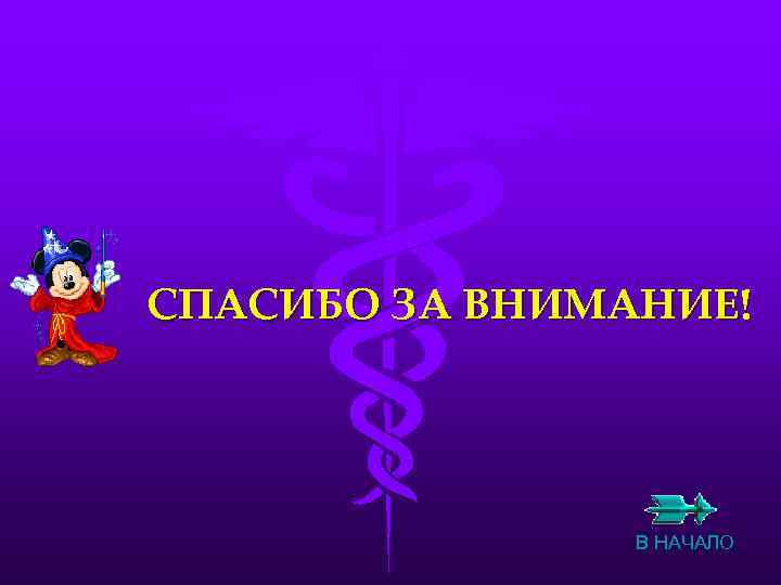 СПАСИБО ЗА ВНИМАНИЕ! В НАЧАЛО 