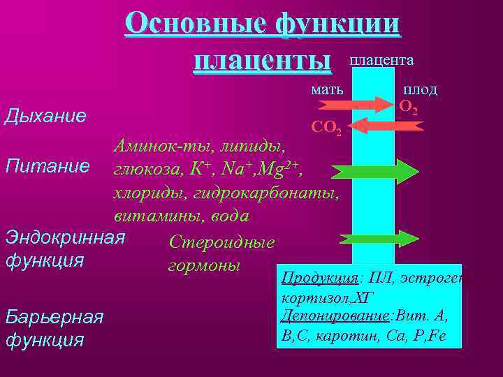 Основные функции плаценты плацента мать Дыхание СО 2 Аминок-ты, липиды, Питание глюкоза, К+, Na+,