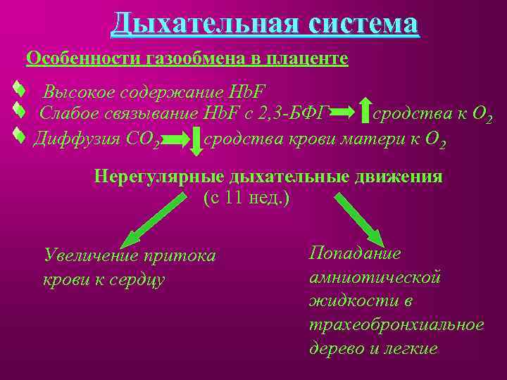 Дыхательная система Особенности газообмена в плаценте Высокое содержание Hb. F Слабое связывание Hb. F