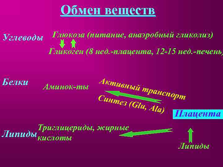 Обмен веществ Углеводы Глюкоза (питание, анаэробный гликолиз) Гликоген (8 нед. -плацента, 12 -15 нед.