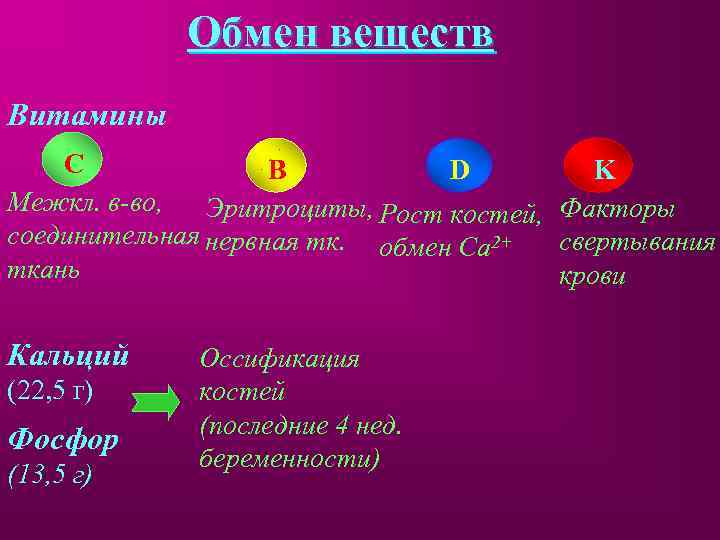 Обмен веществ Витамины С B D K Межкл. в-во, Эритроциты, Рост костей, Факторы соединительная