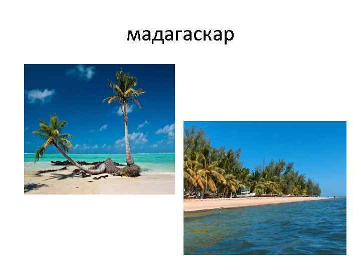 мадагаскар 