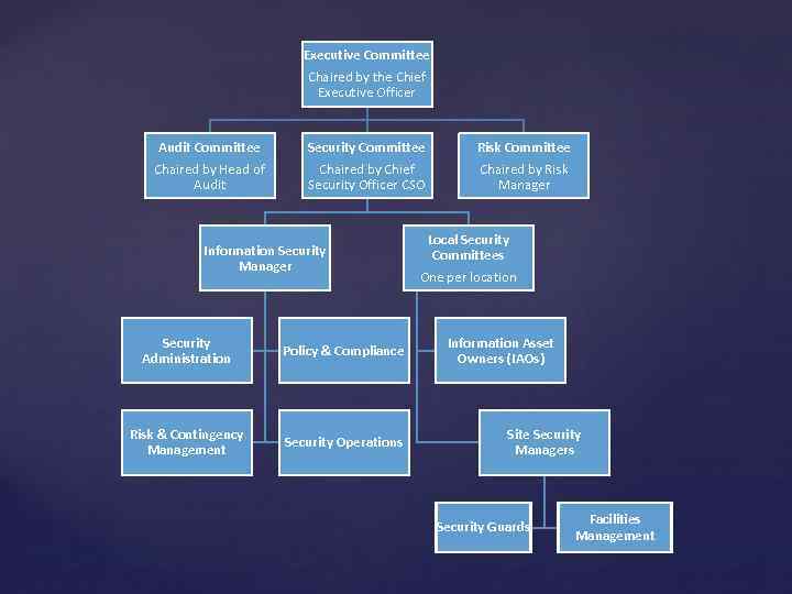 Executive Committee Chaired by the Chief Executive Officer Audit Committee Chaired by Head of