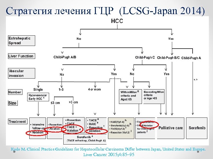 Cтратегия лечения ГЦР (LCSG-Japan 2014) Kudo M. Clinical Practice Guidelines for Hepatocellular Carcinoma Differ