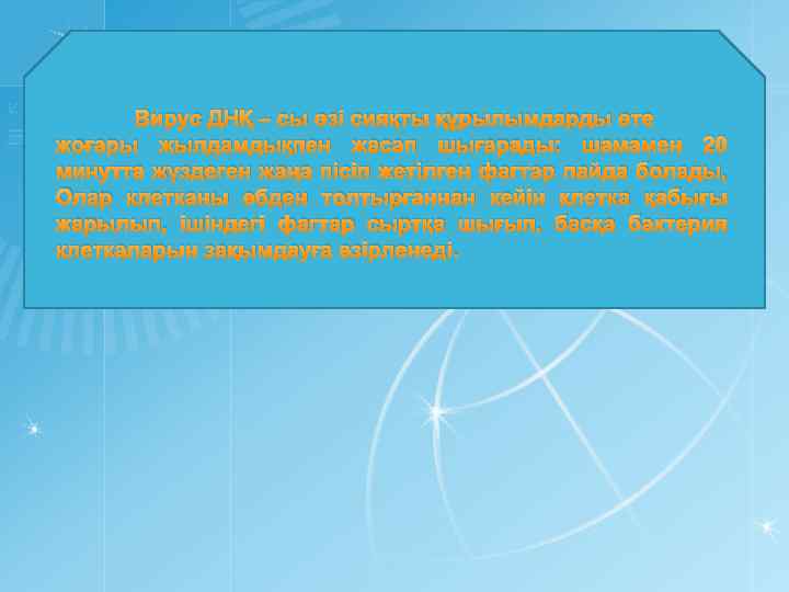 Вирус ДНҚ – сы өзі сияқты құрылымдарды өте жоғары жылдамдықпен жасап шығарады: шамамен 20