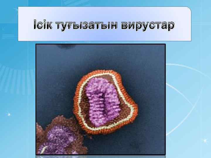 Ісік туғызатын вирустар 