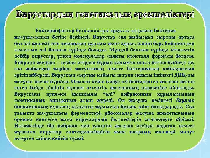 Вирустардың генетикалық ерекшеліктері Бактериофагтар бұтақшалары арқылы алдымен бактерия жасушасының бетіне бекінеді. Вирустар сол жабысқан