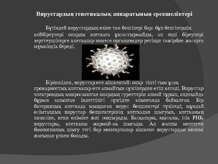 Вирустардың генетикалық аппаратының ерекшеліктері Бүтіндей вирустардың өзіне тән белгілері бар: бұл белгілердің кейбіреулері оларды