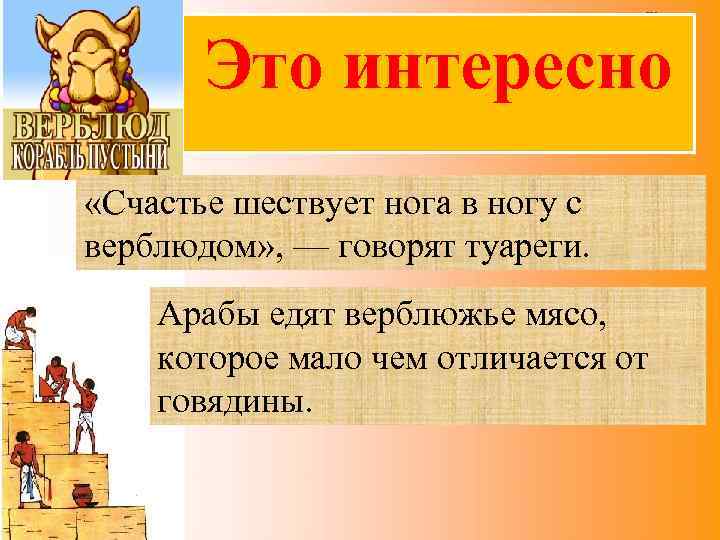 Это интересно «Счастье шествует нога в ногу с верблюдом» , — говорят туареги. Арабы
