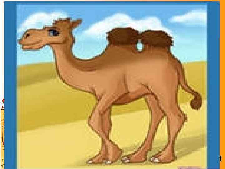 Отгадайте загадку: Делает запас воды Он всегда в свои горбы. Он не лентяй, он