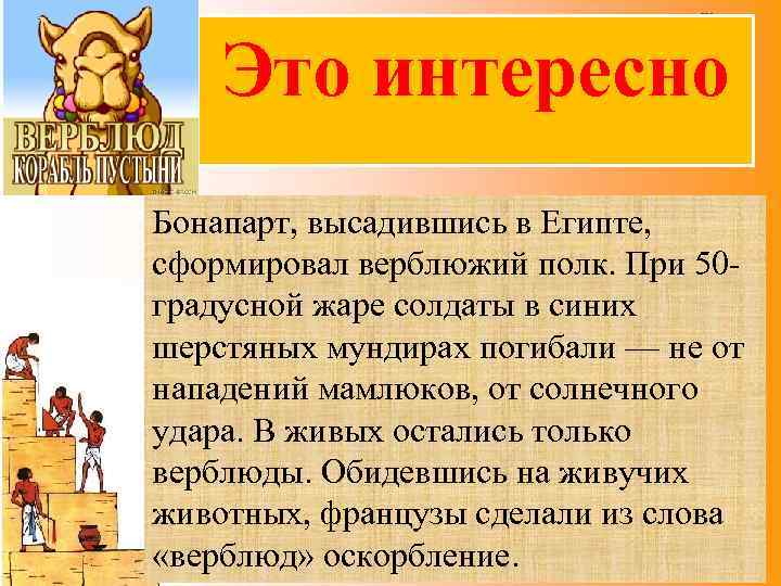 Это интересно Бонапарт, высадившись в Египте, сформировал верблюжий полк. При 50 градусной жаре солдаты